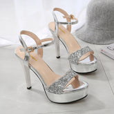 Thick Sole Buckle Strap Open Toe Pumps Newgew