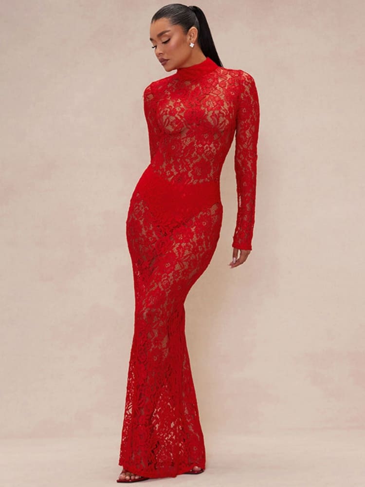 Sheer Lace Turtleneck Dress Newgew Dresses