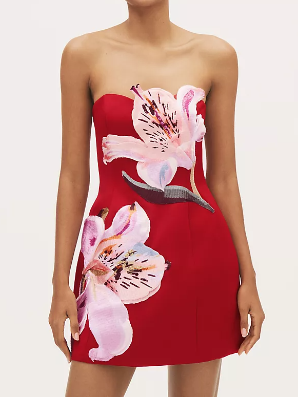 Rosario Floral Appliqué Mini Dress Newgew Dresses