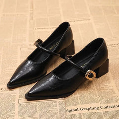 Pointed-Toe Sallow-Mouthed High Heels Newgew