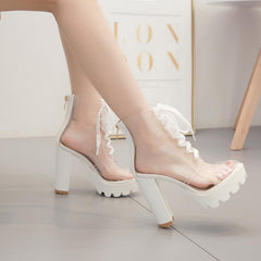 Back Zipper Chunky Heeled Boots Newgew