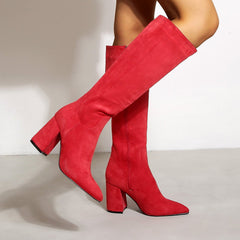 Chunky Heels Pointed Toes High Suede Boots Newgew