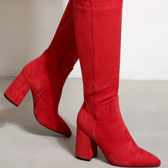 Chunky Heels Pointed Toes High Suede Boots Newgew