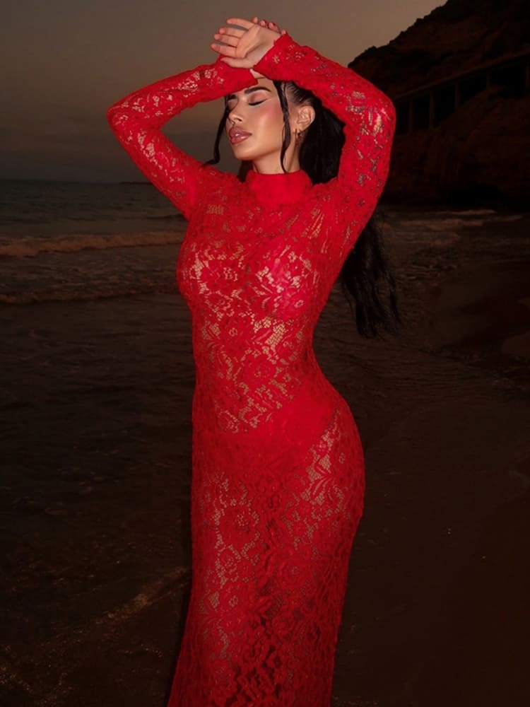 Sheer Lace Turtleneck Dress Newgew Dresses