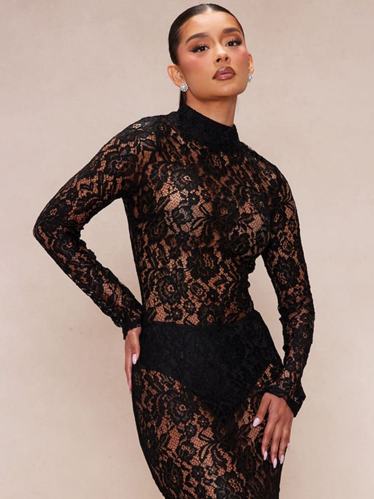 Sheer Lace Turtleneck Dress Newgew Dresses