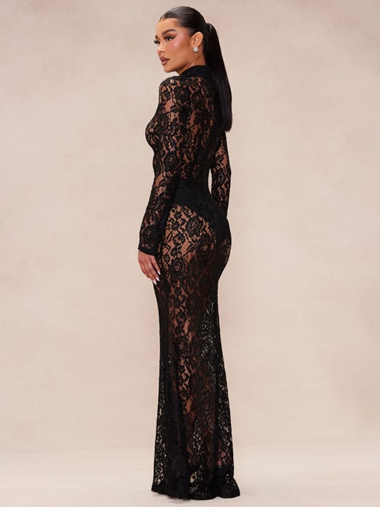 Sheer Lace Turtleneck Dress Newgew Dresses