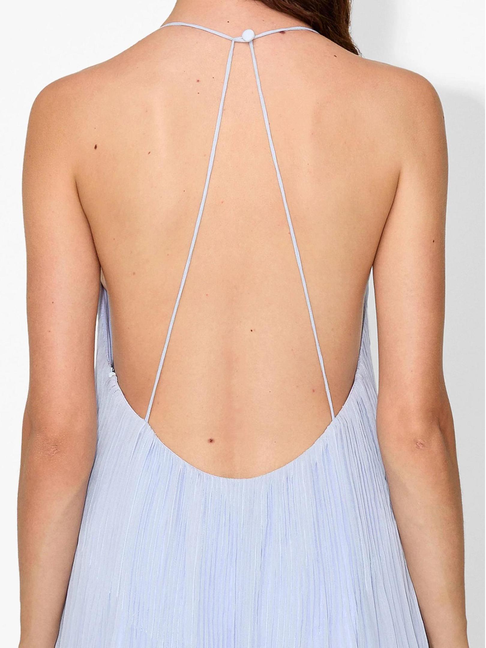 Haydin Maxi Dress - Hydrangea Newgew Dresses