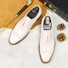 Men Cowhide Casual Fashion Oxford Shoes Newgew Shoes