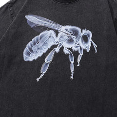 X-Ray Bee Graphic T-Shirt Newgew