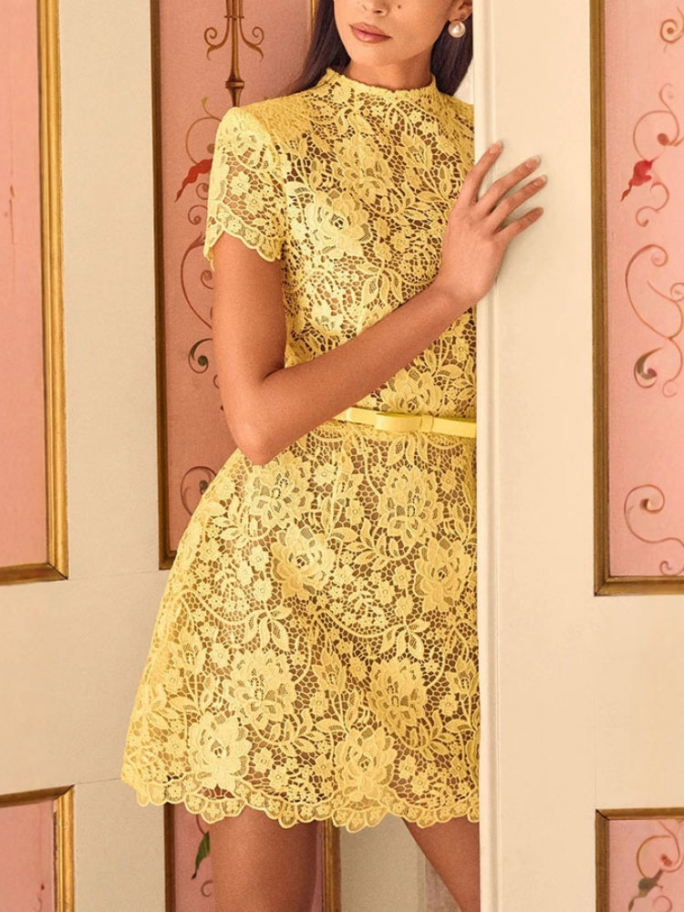 Embroidered Lace Belted Sheer Mini Dress Newgew Dresses