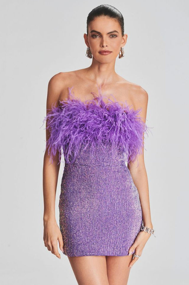 Torin Sequin Feather Dress Newgew