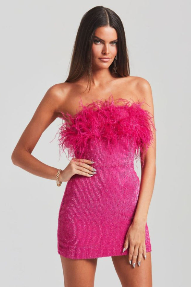 Torin Sequin Feather Dress Newgew