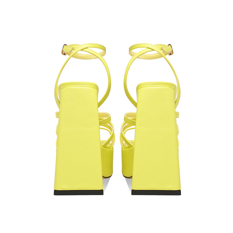 Dior Platform Chunky Heel Strappy Sandals NEW GEW